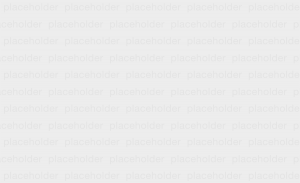 placeholder1